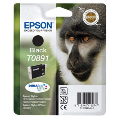 EPSON CARTUCCIA NERO T0891  